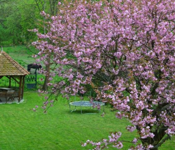 Готель Shubu Zen Vendeghaz Сільвашварад Екстер'єр фото